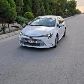Toyota Corolla 2021