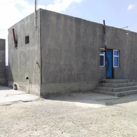 Baherden arenda jay