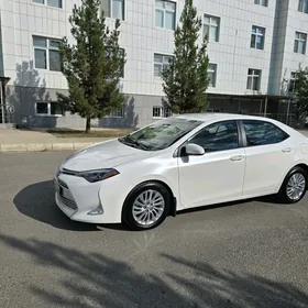 Toyota Corolla 2019