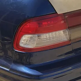 Maxsima stopnik