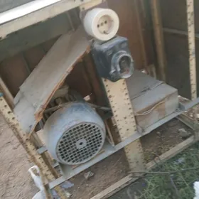 motor ystonok