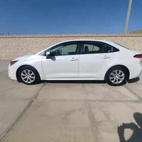 Toyota Corolla 2020