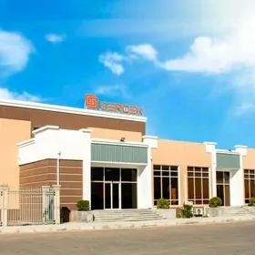 Tikin maşyn sürüp bilmeýanlere özümiz öwretýärs