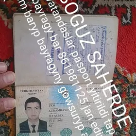 pasprt yitdi