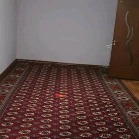Kvartira