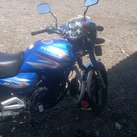 Fekon FK150-8G 2018