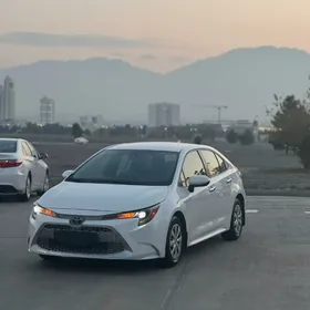 Toyota Corolla 2020