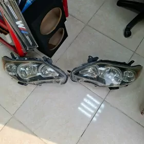 karolla farra