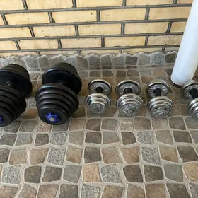 спорт гантел