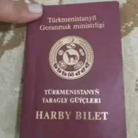 waýenni bilet ýitdi