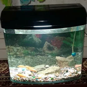 akwaryum 50 Lt