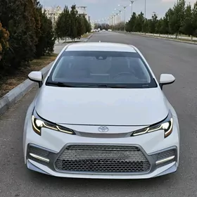 Toyota Corolla 2019