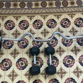 gantel shtanga