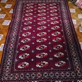 Satlyk haly bar