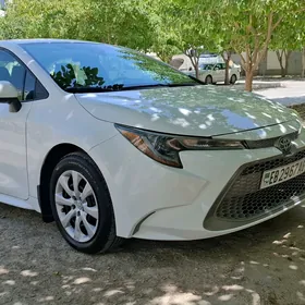Toyota Corolla 2021