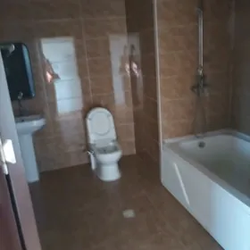 Satlyk Elitka jaý