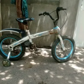 tigir kici caga тигр 16lyk wel