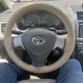 Rul corolla