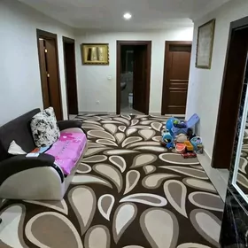 ÁNEW POLU_ ELITKA AVTOLINE