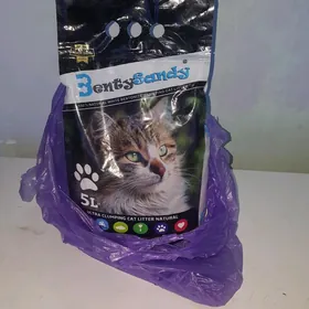 Pişigiň çägesi