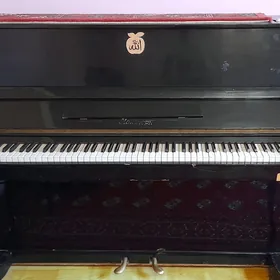 Pianino   (Ноктюрн)