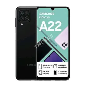 a22