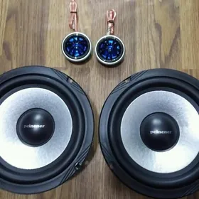 pioneer kalonka
