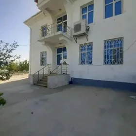 Taze Zaman 1tapgyr