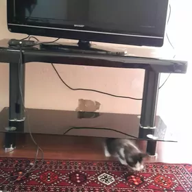 Сатлык телевизор