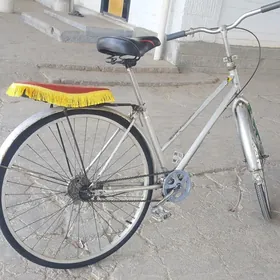 27 lyk Tigir