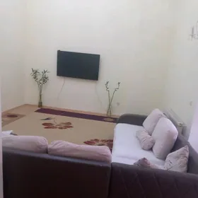 GOGOLYA POLUELITKA 3 kom