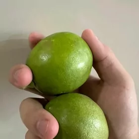 Limon