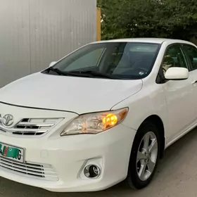 Toyota Corolla 2013