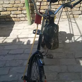 welik kama