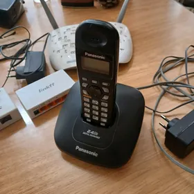 Panasonic