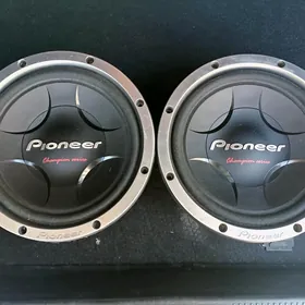 pioneer kalonka