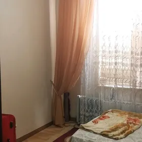 Элитка Подвойск 77