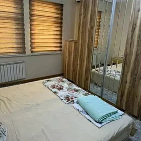 Arenda MIR 8