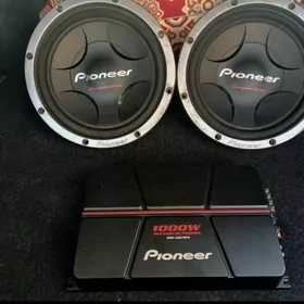 Pioneer Kalonka, Usulitel