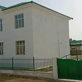 Anew  kotež