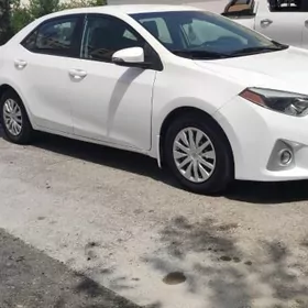 Toyota Corolla 2014