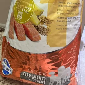 корм для собак