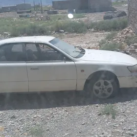 maşyn