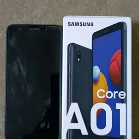 A01 core