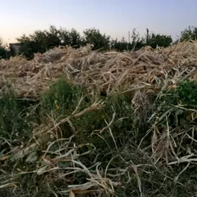 мекге оту