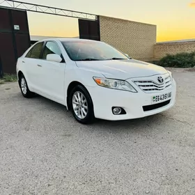 Toyota Camry 2010