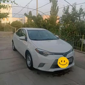 Toyota Corolla 2014