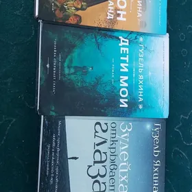 книга