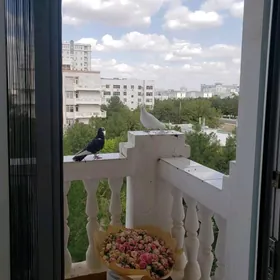 Аренда Мир8 4этаж 