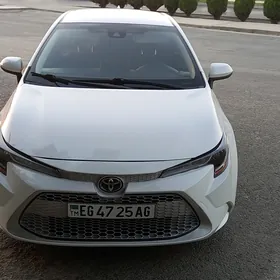 Toyota Corolla 2021